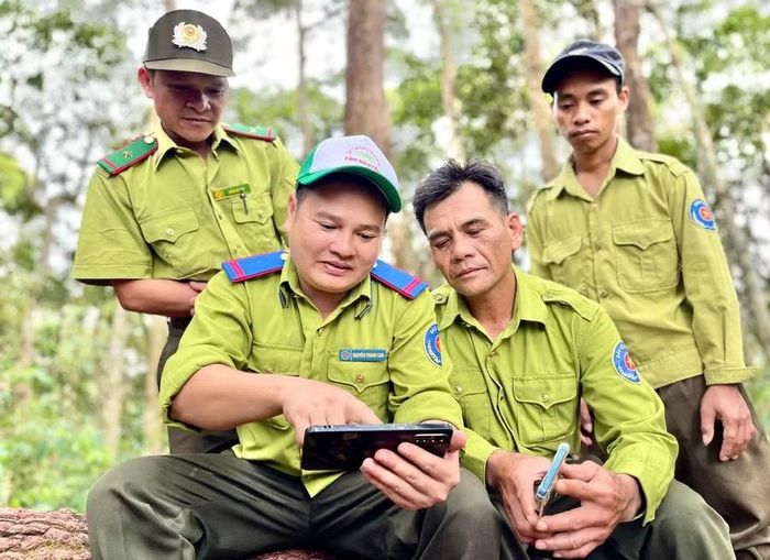  Ngoài việc tập trung nguồn lực bảo vệ rừng, việc sáp nhập các đơn vị rừng đặc dụng còn tạo điều kiện đẩy mạnh ứng dụng khoa học - công nghệ, cơ sở dữ liệu, bản đồ số, góp phần nâng cao năng lực quản lý, bảo vệ và phát triển rừng. Ảnh: Minh Phương 