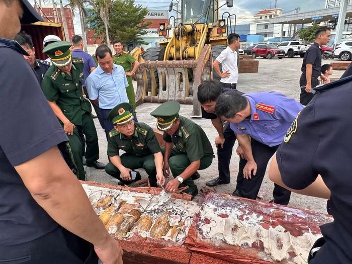  Ngà voi được cất giấu trong các lóng gỗ. Ảnh: Công Cường 