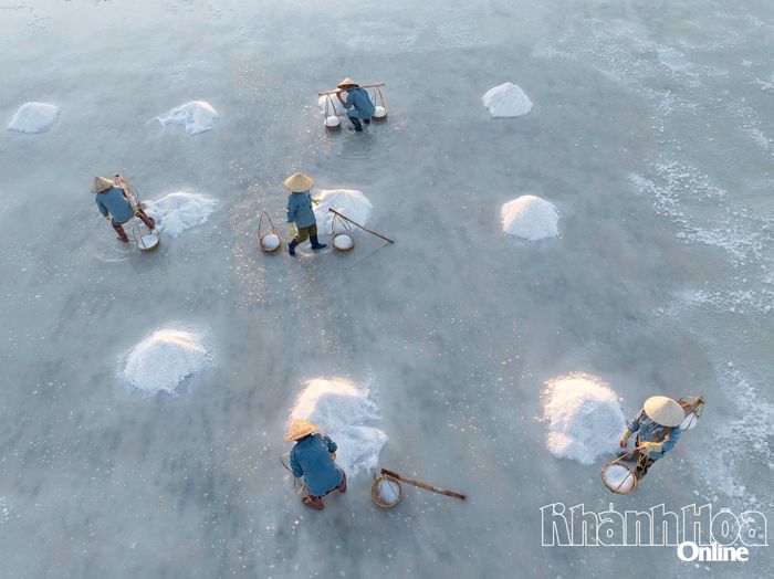Trên cánh đồng muối Hòn Khói (phường Đông Ninh Hòa). Ảnh: VƯƠNG MẠNH CƯỜNG