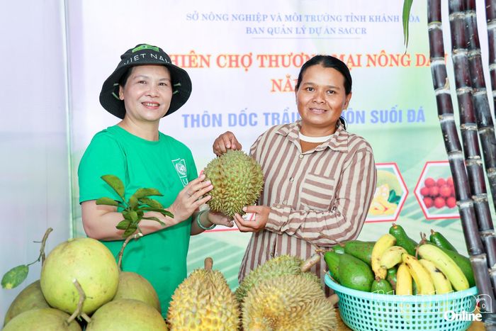 Sầu riêng - đặc sản của xã Đông Khánh Sơn đang vào chính vụ. Ảnh H.ĐĂNG