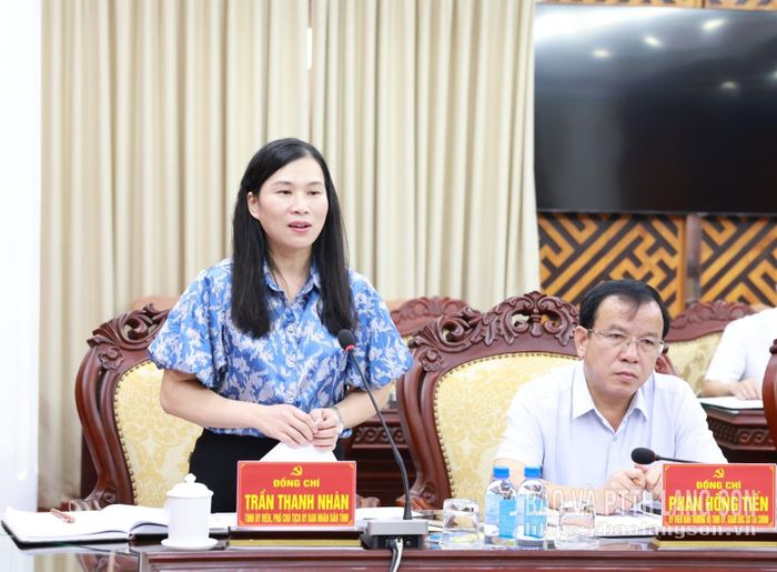 Đồng chí Trần Thanh Nhàn, Phó Chủ tịch UBND tỉnh phát biểu tại hội nghị