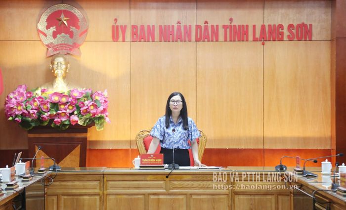 Đồng chí Trần Thanh Nhàn, Phó Chủ tịch UBND tỉnh phát biểu chỉ đạo tại cuộc họp