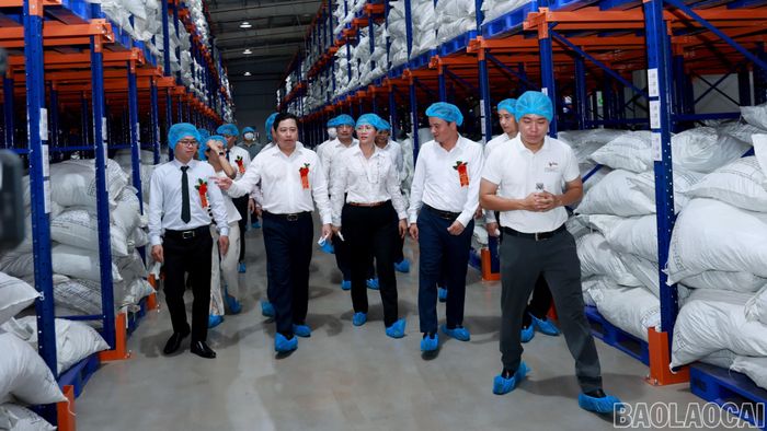 Các đồng chí lãnh đạo tỉnh và đại diện các sở, ngành tham quan nhà máy.