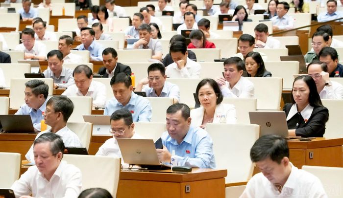 Các đại biểu tham dự phiên họp.