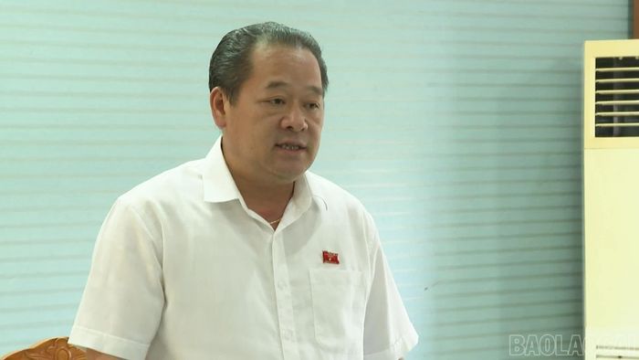 Phó Chủ tịch HĐND tỉnh Lý Bình Minh phát biểu kết luận buổi làm việc.