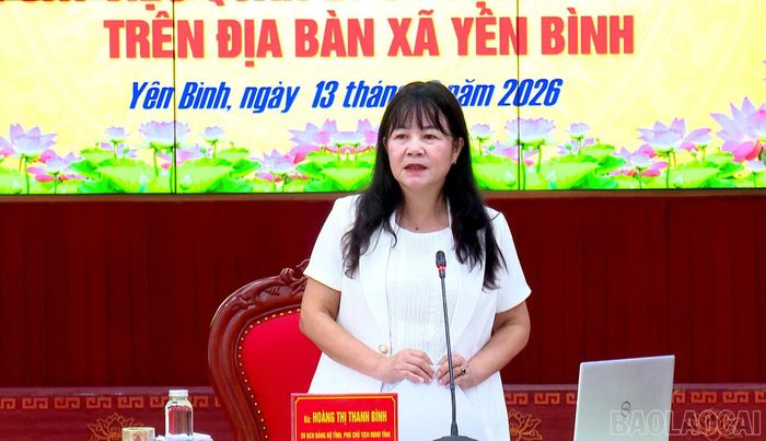 Đồng chí Phó Chủ tịch HĐND tỉnh Hoàng Thị Thanh Bình phát biểu tại buổi làm việc.