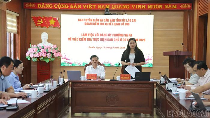 Đồng chí Đoàn Thị Thanh Tâm - Phó Trưởng Ban Thường trực Ban Tuyên giáo và Dân vận Tỉnh ủy phát biểu tại buổi làm việc.