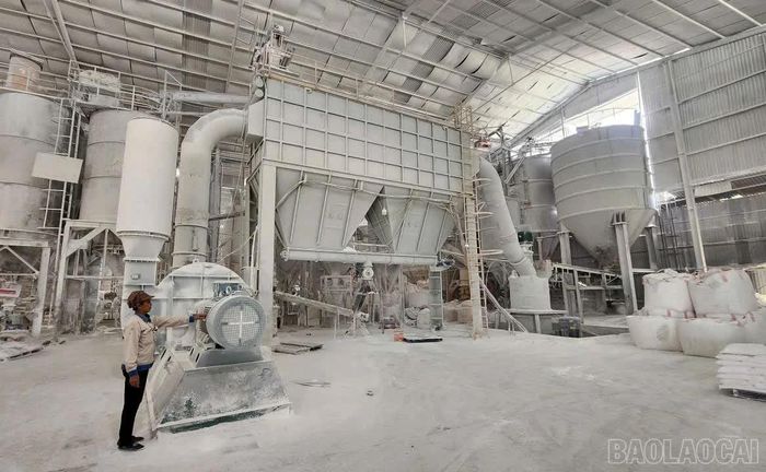 Một số nhà máy chế biến bột đá trắng phải tạm dừng hoạt động do thiếu nguyên liệu.