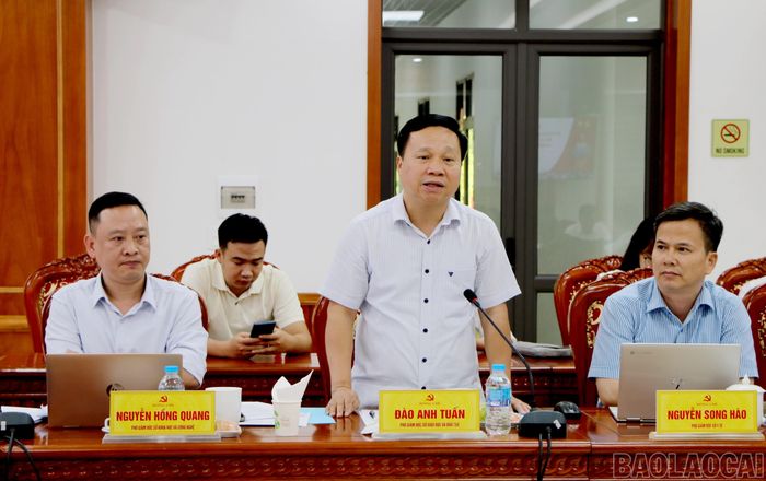 Lãnh đạo Sở Giáo dục và Đào tạo tỉnh phát biểu tại buổi làm việc.