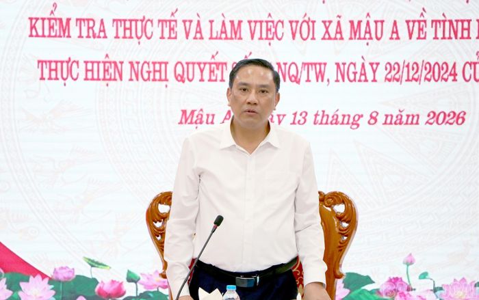 Phó Bí thư Thường trực Tỉnh ủy, Chủ tịch HĐND tỉnh Hoàng Giang phát biểu kết luận buổi làm việc.