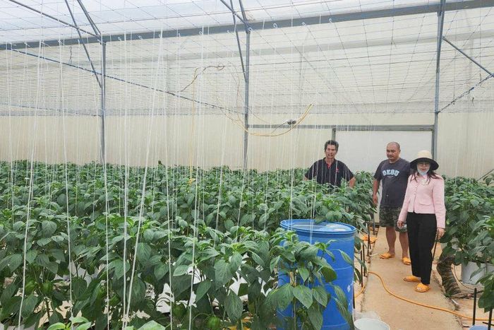 Đức Trọng xác định nông nghiệp công nghệ cao là chìa khóa then chốt để nâng cao giá trị sản phẩm và cải thiện đời sống Nhân dân