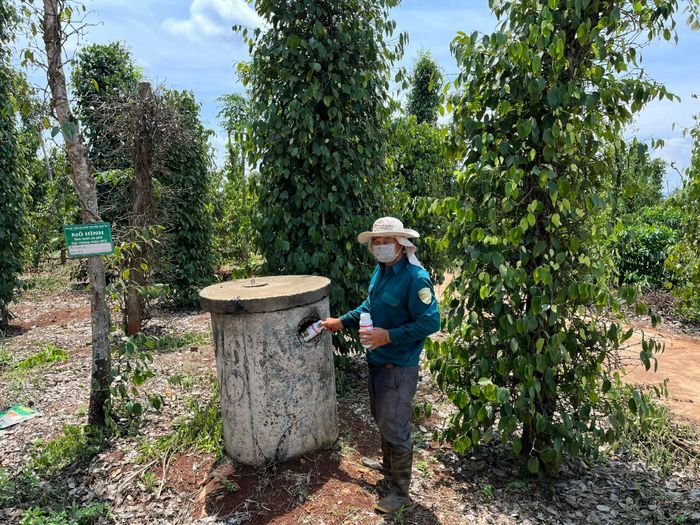 Thành viên HTX Phát triển nông nghiệp Công bằng Thành Thái, xã Nam Nung tuân thủ đúng quy định quản lý rác thải nguy hại trong vùng sản xuất nông nghiệp.