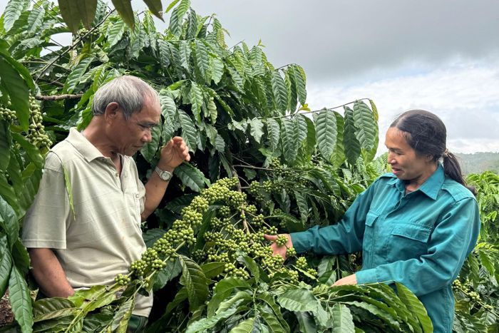 Những lúc rảnh, già làng Điểu Pliu tranh thủ đến các hộ dân thăm hỏi, nắm bắt tình hình sản xuất của bà con để kịp thời đề xuất địa phương hướng hỗ trợ phù hợp nhất