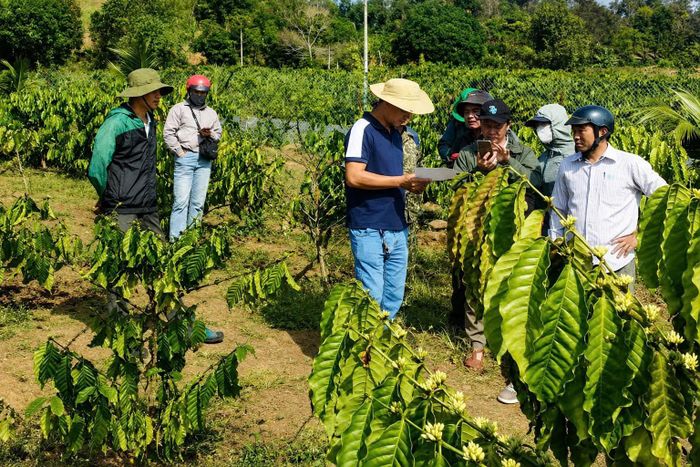 Đo đạc đất đai, hoàn thành công tác giải phóng mặt bằng