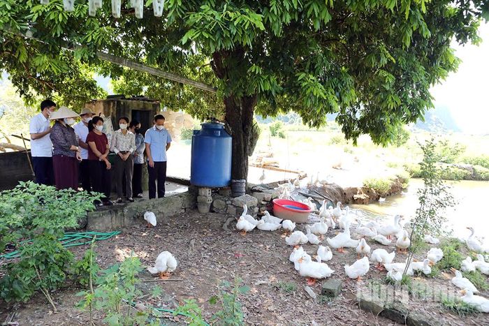 Đoàn công tác của Sở Nông nghiệp và Môi trường kiểm tra công tác phòng, chống bệnh cúm gia cầm tại gia đình anh Trương Văn Lương ở thôn Phú Sơn, xã Phú Sơn.
