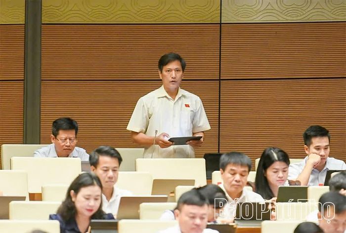 Đại biểu Quốc hội tỉnh Phú Thọ Vương Kim Ánh thảo luận ở hội trường.