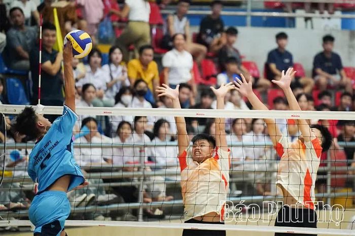 Các vận động viên thi đấu đầy quyết tâm ở môn bóng chuyền.