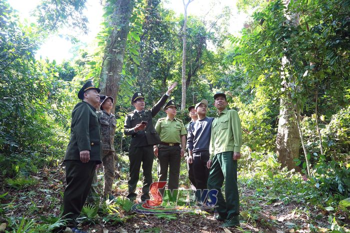 Lực lượng kiểm lâm địa bàn của Hạt Kiểm lâm khu vực VIII ứng dụng chuyển đổi số trong công tác quản lý, bảo vệ rừng.