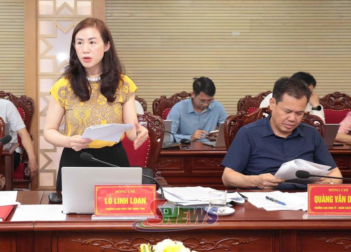 Lãnh đạo Ban Pháp chế HĐND tỉnh phát biểu tại phiên họp.
