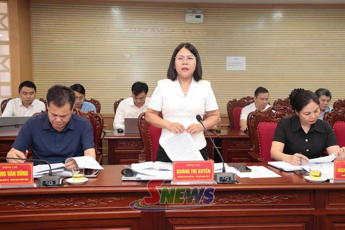 Lãnh đạo Ban Văn hóa - Xã hội HĐND tỉnh phát biểu tại phiên họp.