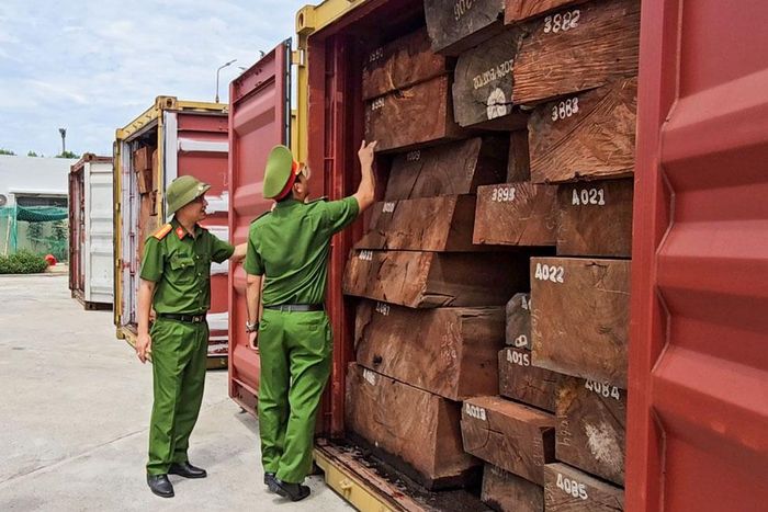 Công an kiểm tra 3 container gỗ. Ảnh: Công an cung cấp