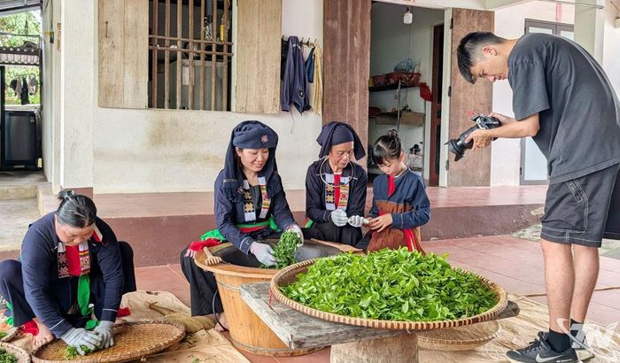 Cán bộ khảo sát thu thập thông tin, hình ảnh về trà Thái Nguyên tại xã Phú Lạc.