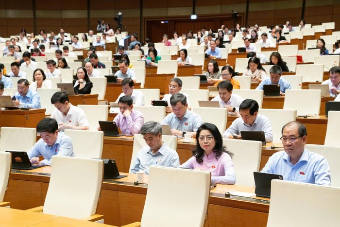 Các đại biểu tham dự phiên thảo luận sáng 13/8. Ảnh: Media Quốc hội.