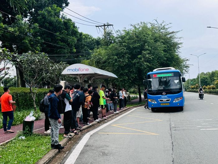 TP.HCM ghi nhận lượng khách đi xe buýt tăng mạnh sau khi áp dụng chính sách miễn phí vé.
