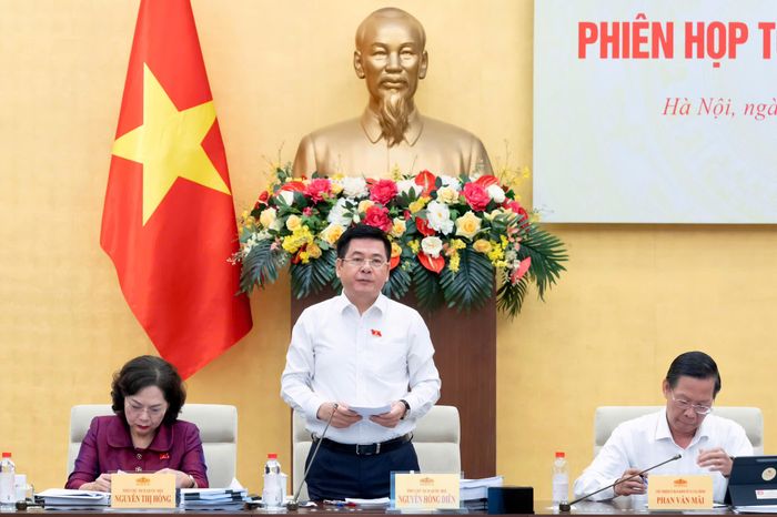 Phó Chủ tịch Quốc hội Nguyễn Hồng Diên phát biểu chỉ đạo Phiên họp. (Ảnh: Quochoi.vn).