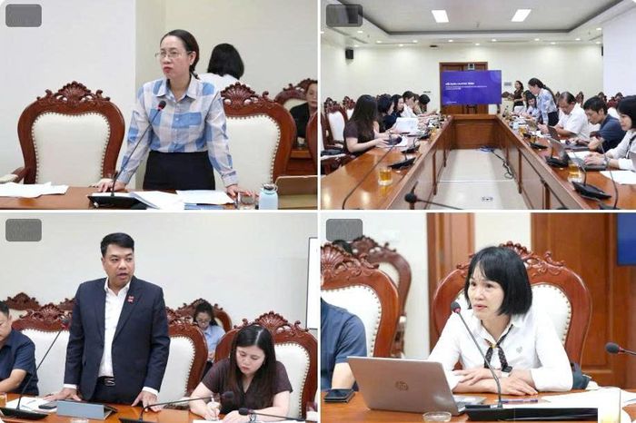 Các chuyên gia phát biểu tại cuộc họp. Ảnh: Phương Thảo