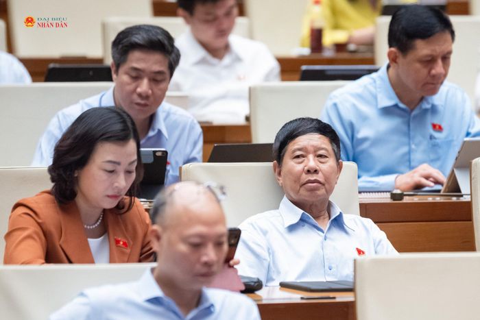 Các đại biểu dự phiên họp. Ảnh: Quang Khánh