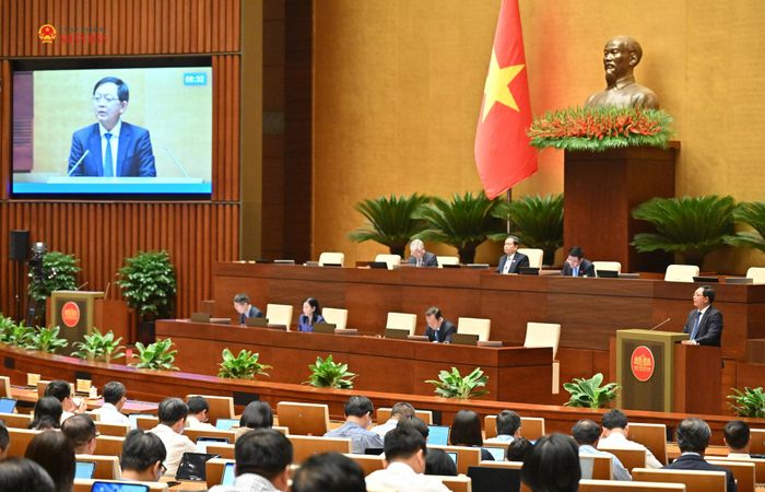 Phó Thủ tướng Chính phủ Hồ Quốc Dũng phát biểu giải trình, làm rõ một số vấn đề đại biểu Quốc hội nêu