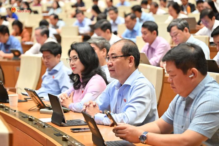 Các đại biểu dự phiên họp