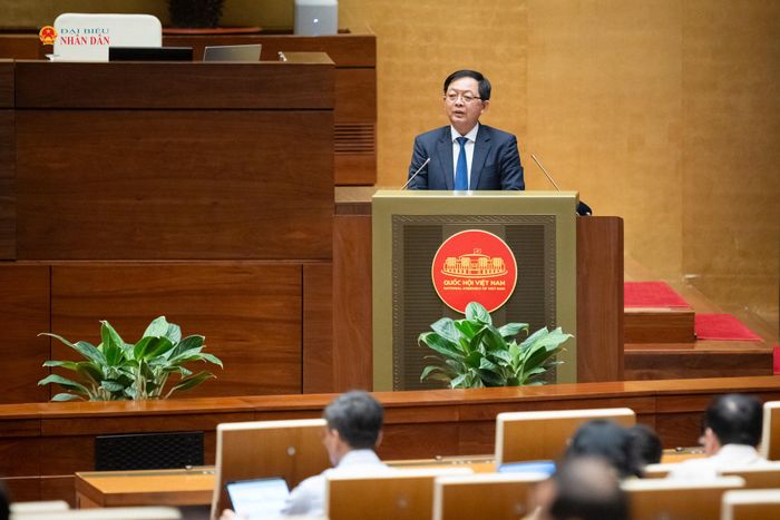 Phó Thủ tướng Chính phủ Hồ Quốc Dũng phát biểu giải trình, làm rõ một số vấn đề đại biểu Quốc hội nêu