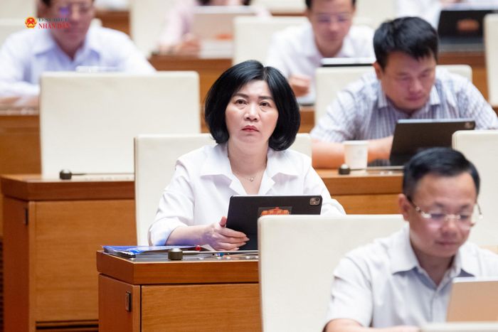 Các đại biểu dự phiên họp