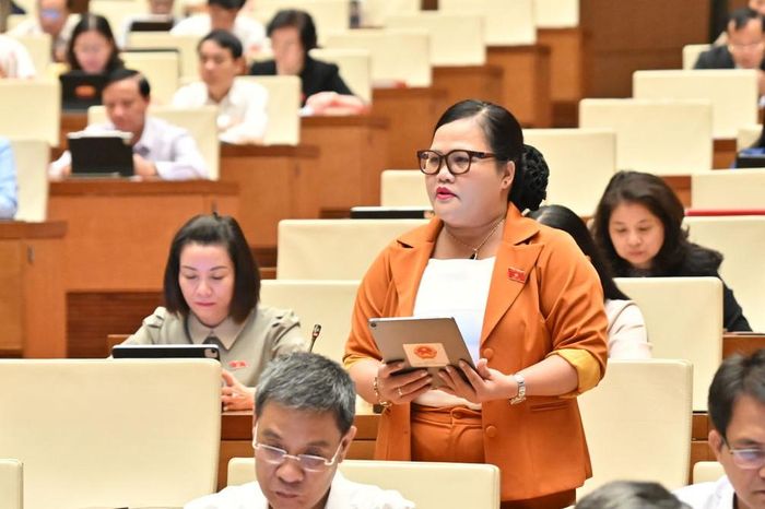 ĐBQH Nguyễn Thị Sửu (TP. Huế) phát biểu