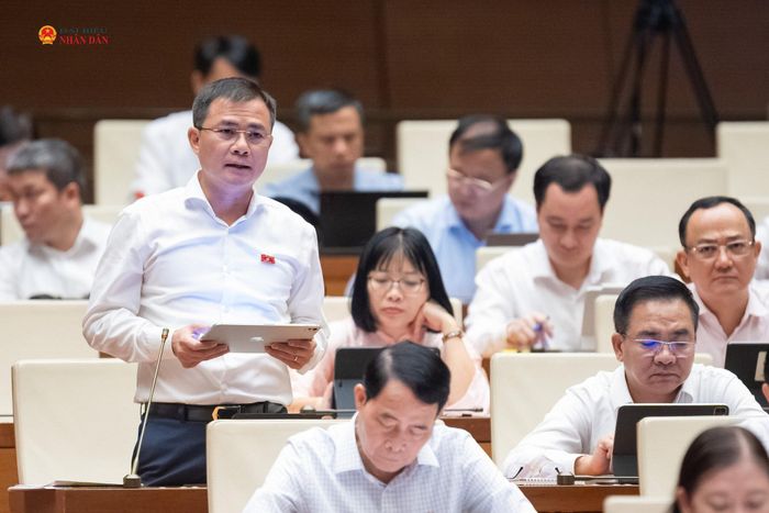 ĐBQH Tào Đức Thắng (TP. Hồ Chí Minh) phát biểu