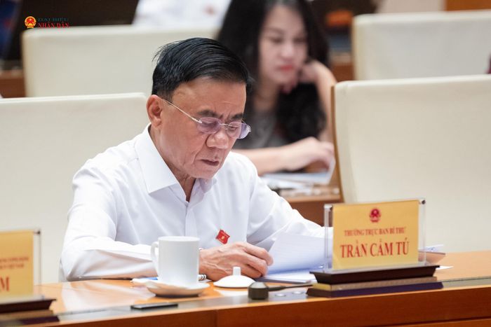 Thường trực Ban Bí thư Trần Cẩm Tú tham dự phiên họp