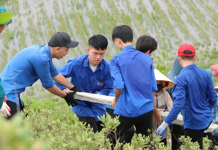 Hơn 150 đoàn viên Trường THPT Phạm Hồng Thái cùng đoàn viên các trường THCS trên địa bàn đã tham gia vận chuyển, lắp ghép vật liệu.
