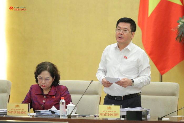 Phó Chủ tịch Quốc hội Nguyễn Hồng Diên phát biểu chỉ đạo tại phiên họp