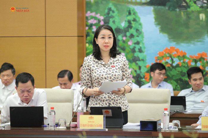 ĐBQH hoạt động Chuyên trách tại Ủy ban Văn hóa và Xã hội Phan Thị Thùy Linh phát biểu tại phiên họp