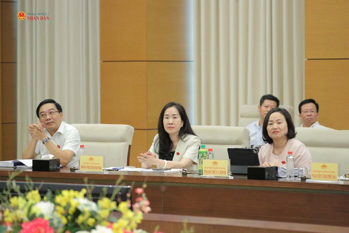 Các đại biểu dự phiên họp