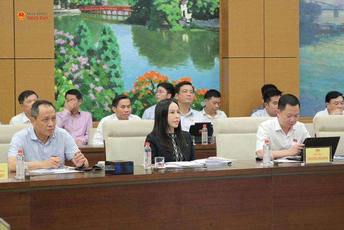 Các đại biểu dự phiên họp