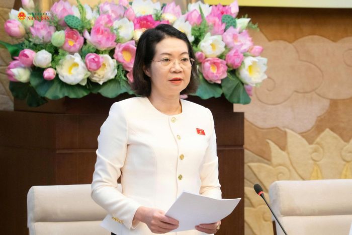 Phó Chủ nhiệm Ủy ban Pháp luật và Tư pháp Mai Thị Phương Hoa phát biểu tại phiên họp