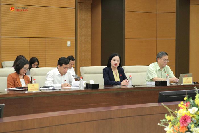 Các đại biểu dự phiên họp