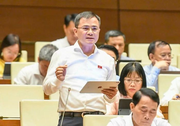 Đại biểu Tào Đức Thắng (Đoàn ĐBQH TP Hồ Chí Minh) phát biểu thảo luận.