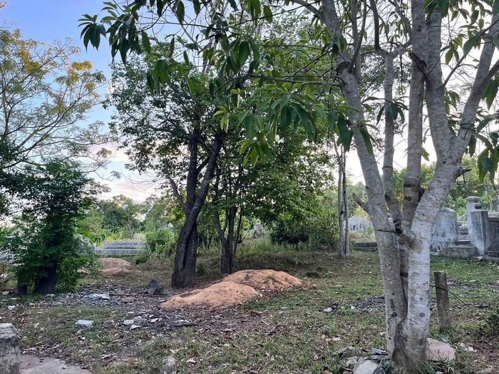 Thanh tra kiến nghị Chủ tịch UBND TP Huế thống nhất chủ trương tiếp tục thực hiện dự án.