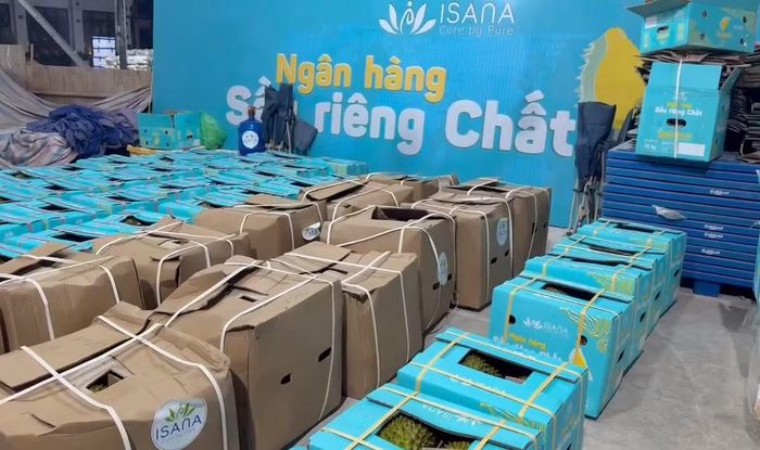 Những hình ảnh "mỹ miều" được Công ty ISANA đưa lên mạng để lừa phỉnh người dân bán sầu riêng.