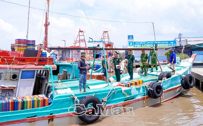 Ðể giảm thiểu rủi ro do thiên tai, chính quyền địa phương và các lực lượng chức năng tăng cường kiểm tra phương tiện về các quy định đảm bảo an toàn trước khi ra khơi.
