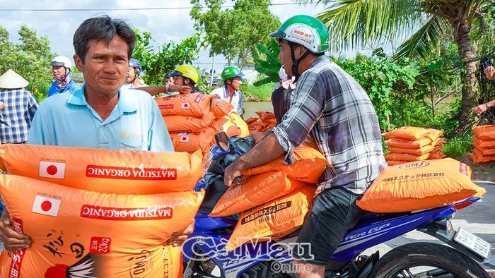 Xã cũng hỗ trợ 104 tấn phân hữu cơ bón trong vụ mùa.